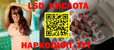 гидра Новодвинск