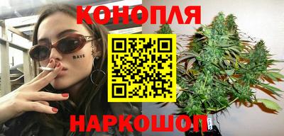 гидра Новодвинск