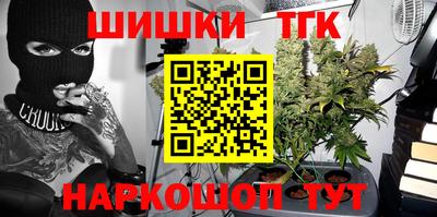 гидра Новодвинск
