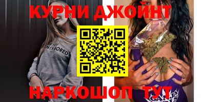 гидра Новодвинск
